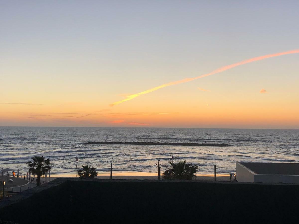 Beach Front Rooftop Apartment Tel Aviv Dış mekan fotoğraf
